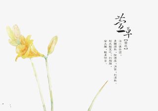 手绘中医中药素材免抠