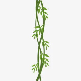 绿色的藤曼免抠