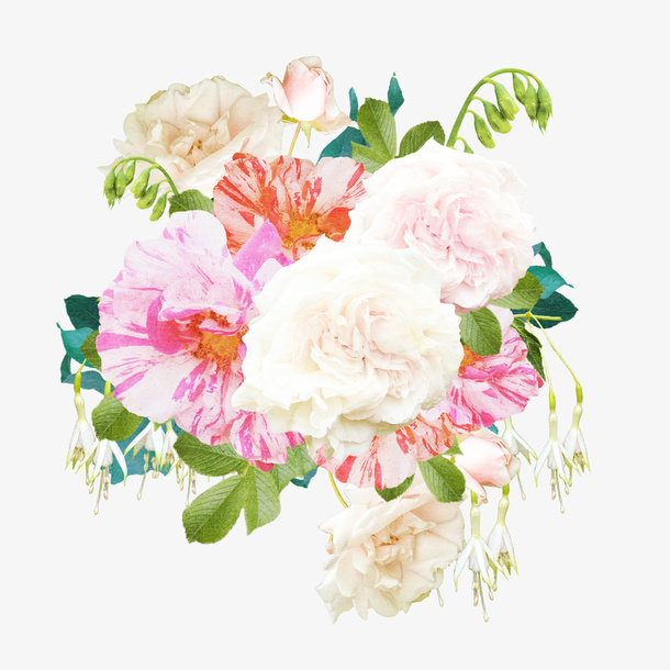 花卉免抠