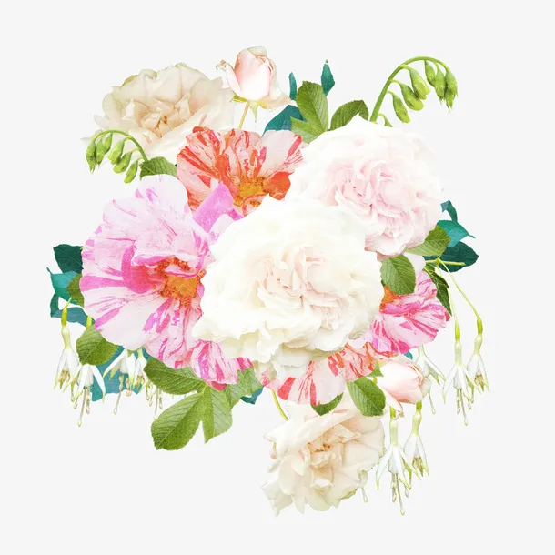 花卉免抠