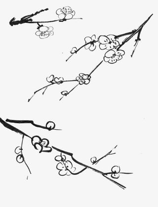 中国风花朵免抠