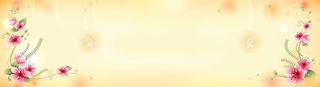 时尚花纹唯美花瓣背景banner