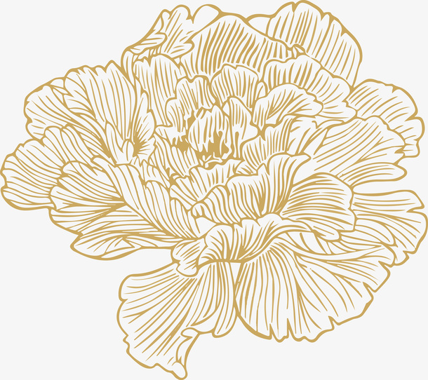 线条牡丹花朵免抠