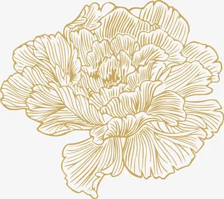 线条牡丹花朵免抠