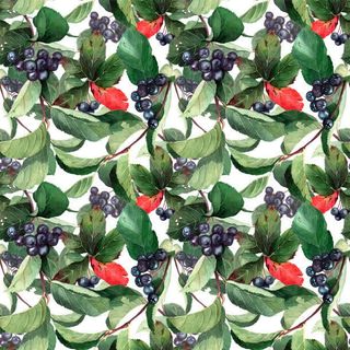 手绘紫色葡萄绿叶免抠