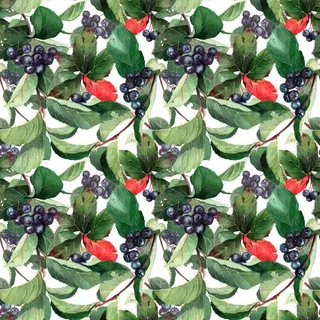 手绘紫色葡萄绿叶免抠