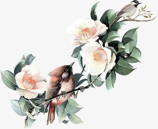 杜鹃花PNG图片免抠