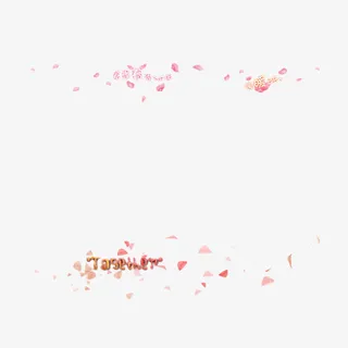 飘浮花瓣免抠