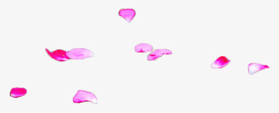 漂浮花瓣红色花瓣免抠