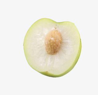 产品实物大青枣免抠