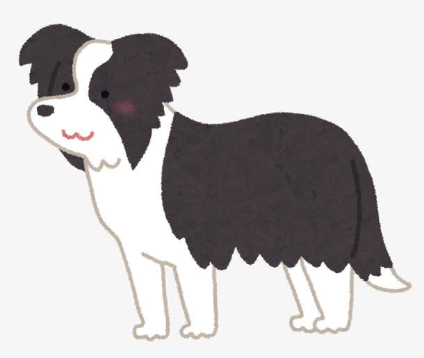 卡通手绘风边牧狗狗插画免抠