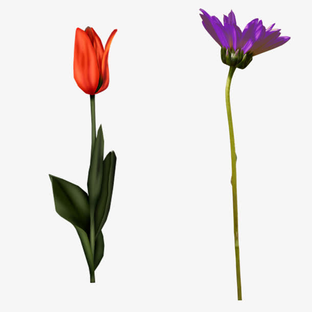 已开花草免抠PNG图片素材免抠