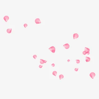 粉色花瓣撒花庆祝免抠漂浮花瓣元素