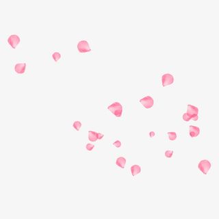 粉色花瓣撒花庆祝免抠漂浮花瓣元素