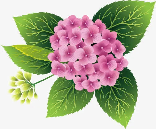 春暖花开免抠
