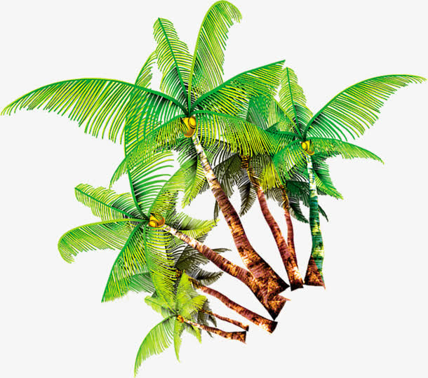 植物绿色椰树夏天免抠