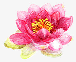 花免抠