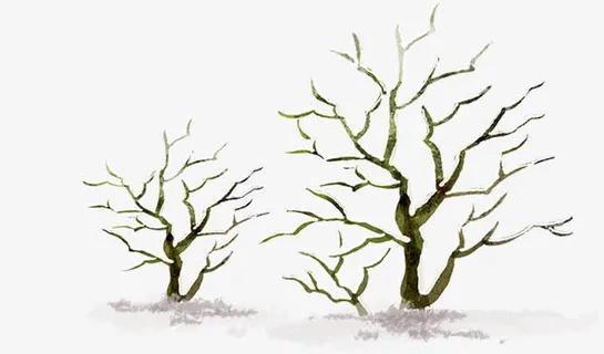创意手绘合成树木树枝大树免抠
