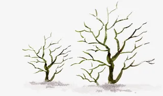 创意手绘合成树木树枝大树免抠