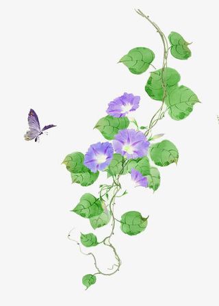 卡通牵牛花免抠