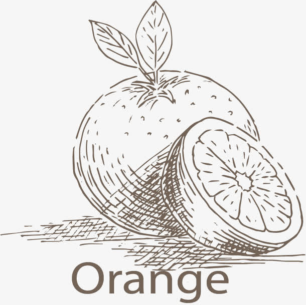 手绘蔬菜水果底纹矢量免抠