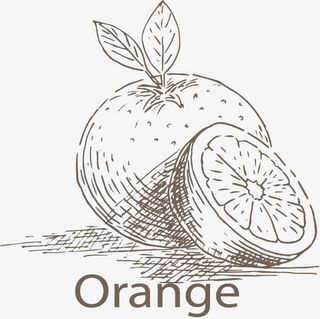 手绘蔬菜水果底纹矢量免抠