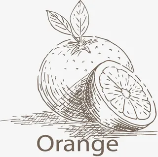 手绘蔬菜水果底纹矢量免抠