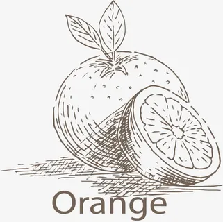 手绘蔬菜水果底纹矢量免抠 手绘蔬菜水果底纹矢量免抠