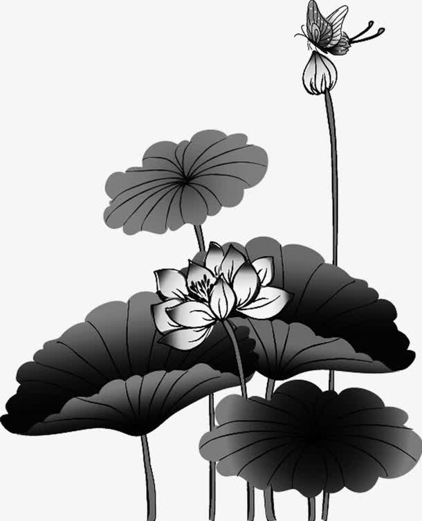 荷花免抠