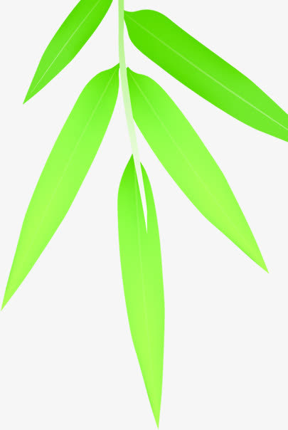 绿色竹叶叶子树枝免抠