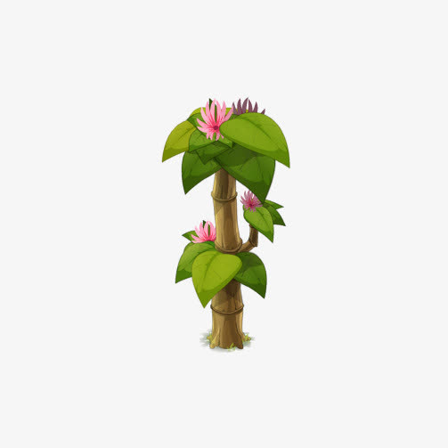 树干子上开花了免抠
