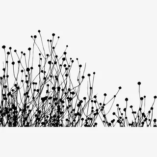 黑白树枝剪影免抠