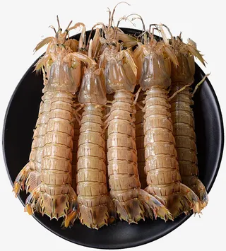 一盘新鲜的皮皮虾免抠