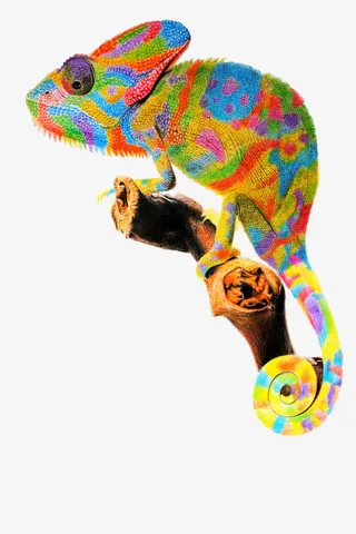 七彩变色龙免抠