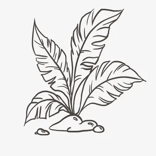 黑色矢量叶子线描图免抠png免抠