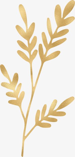 剪贴画叶子免抠