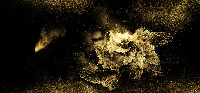 黑金大气金花背景高清