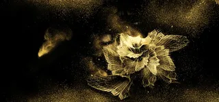 黑金大气金花背景高清