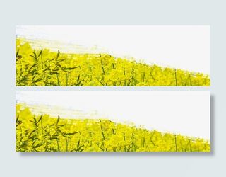 油菜花植物嫩芽惊蛰banner免抠