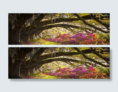 古树花朵淘宝海报背景