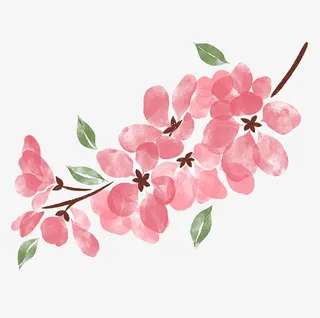 春天水墨画花枝免抠