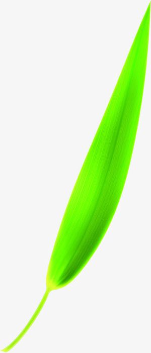 绿叶叶子端午节竹叶免抠