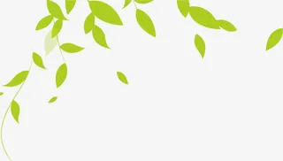 树叶漂浮免抠