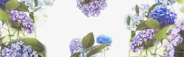 紫色花朵绿叶海报免抠