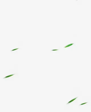 绿叶漂浮免抠