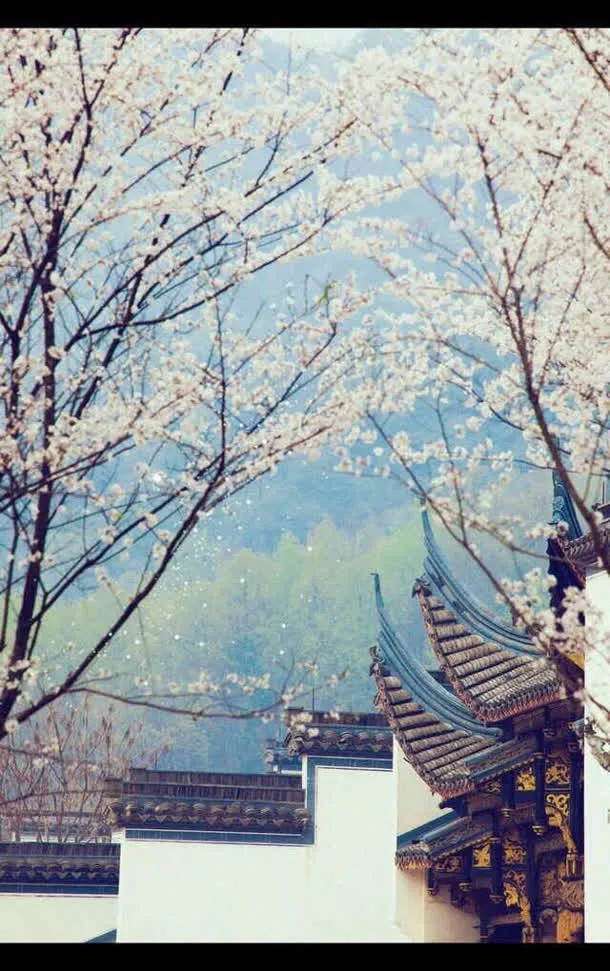 秋日凌乱花朵唯美免抠