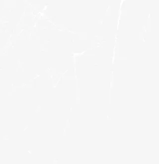 白色斑斓花纹免抠