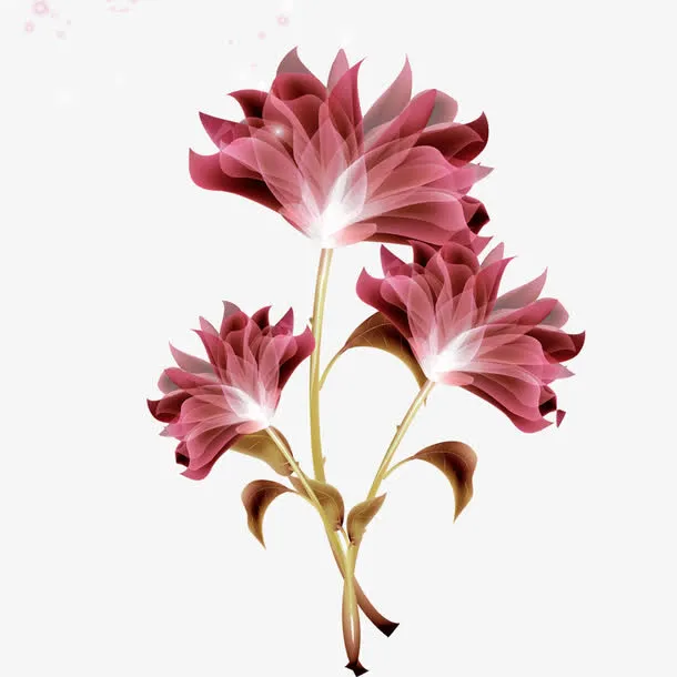 花朵免抠