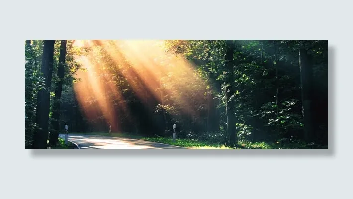 家纺设计banner背景图免抠