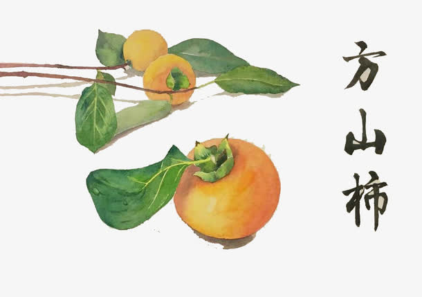 山柿手绘免抠素材免抠